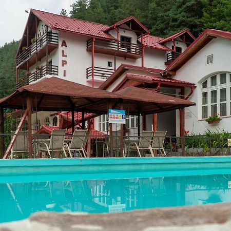 Pensiunea Alpin Păltiniş Exteriör bild