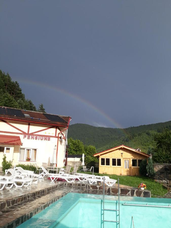 Pensiunea Alpin Păltiniş Exteriör bild