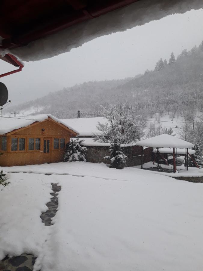 Pensiunea Alpin Păltiniş Exteriör bild