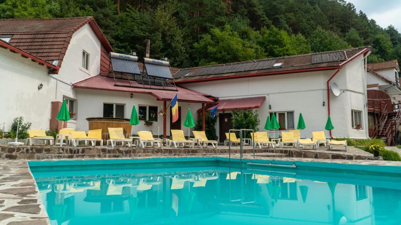 Pensiunea Alpin Păltiniş Exteriör bild
