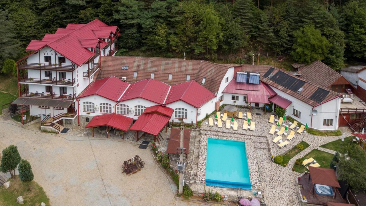 Pensiunea Alpin Păltiniş Exteriör bild
