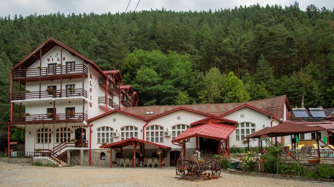 Pensiunea Alpin Păltiniş Exteriör bild