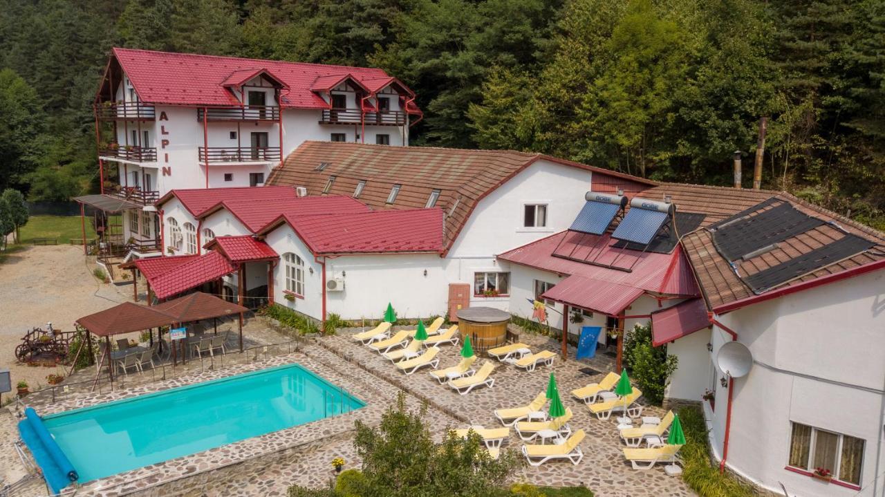 Pensiunea Alpin Păltiniş Exteriör bild