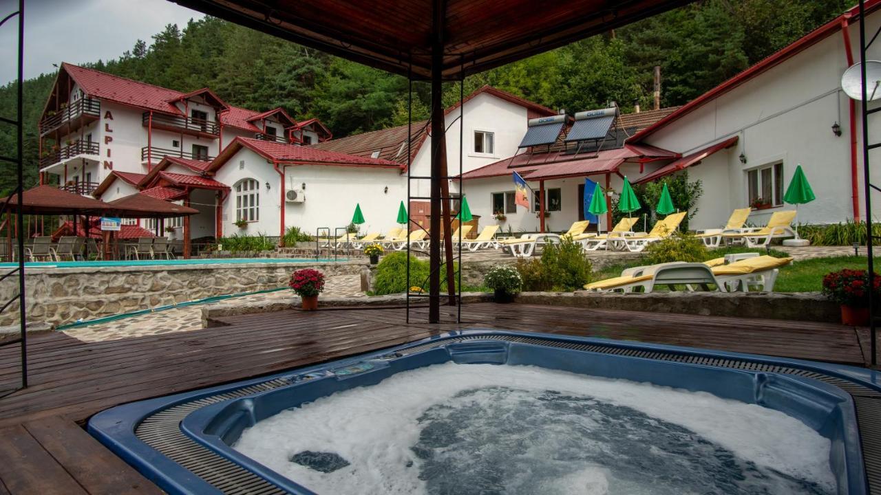 Pensiunea Alpin Păltiniş Exteriör bild