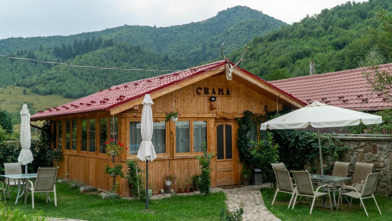 Pensiunea Alpin Păltiniş Exteriör bild