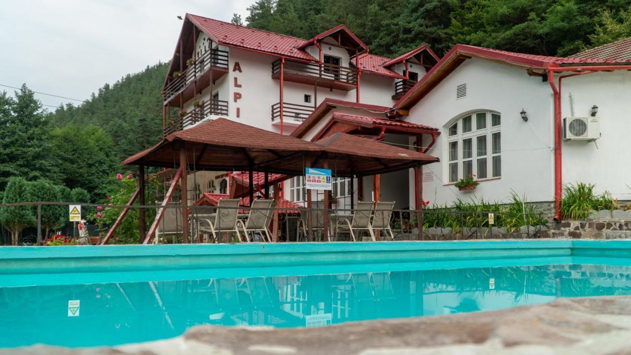 Pensiunea Alpin Păltiniş Exteriör bild