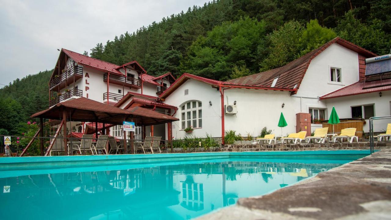 Pensiunea Alpin Păltiniş Exteriör bild