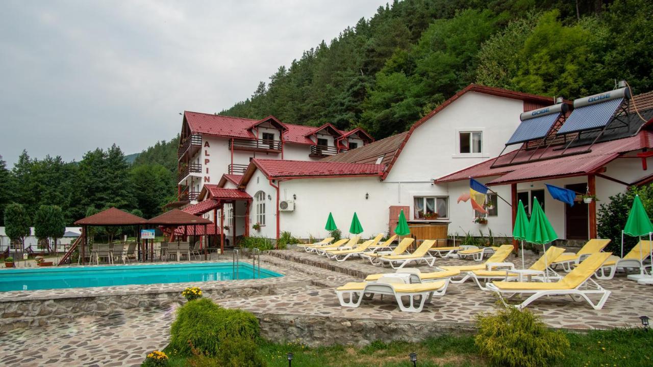 Pensiunea Alpin Păltiniş Exteriör bild