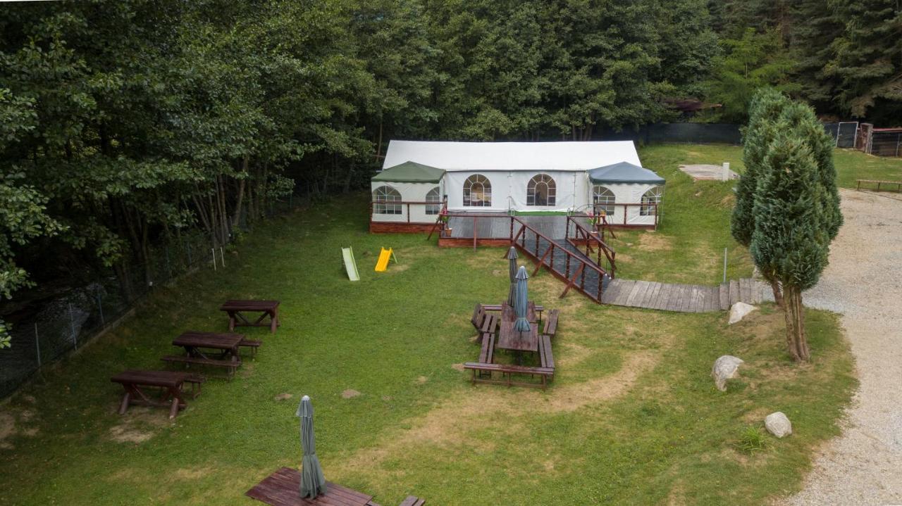 Pensiunea Alpin Păltiniş Exteriör bild