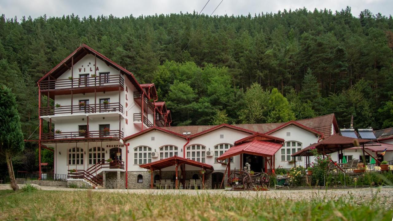 Pensiunea Alpin Păltiniş Exteriör bild