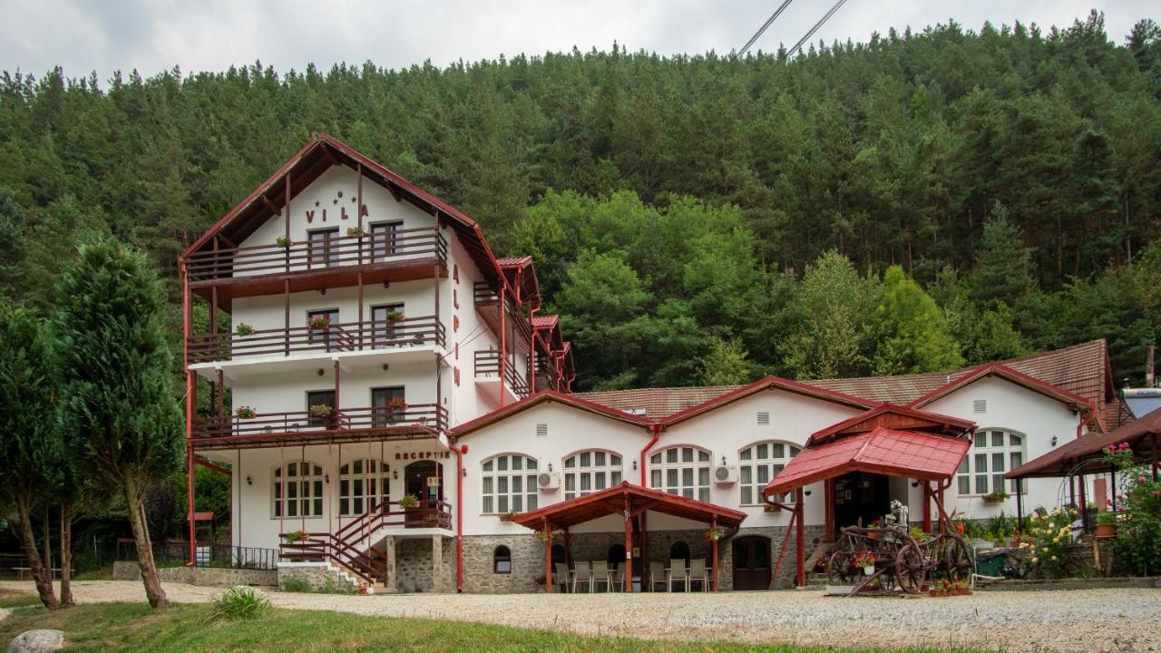 Pensiunea Alpin Păltiniş Exteriör bild