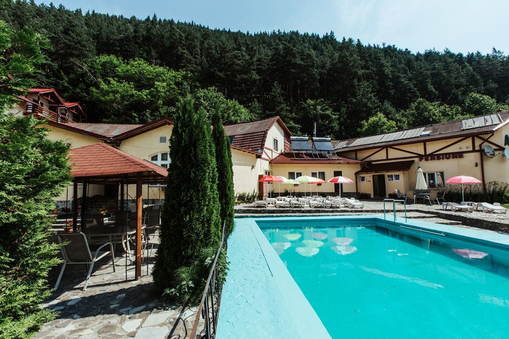 Pensiunea Alpin Păltiniş Exteriör bild